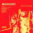 Active Sleep