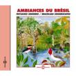 Brazilian Soundscapes