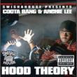 Hood Theory