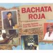 Acoustic Bachata From The Cabaret Era