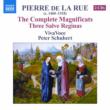 Magnifigato, Salve Regina: P.schubert / Viva Voce