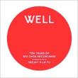 Well Deep: 10 Years Of Retrospective Mix
