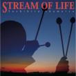 Stream Of Life
