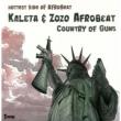 Country Of Guns