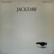 Jackdaw