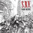 Raw Nerve