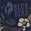 Bluebird