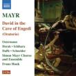 David in the Cave of Engedi : Hauk / Simon Mayr Chorus and Ensemble