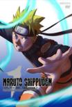 NARUTO Shippuden The Chapter Of Twelve Guardian Ninja 1