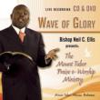 Wave Of Glory