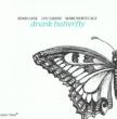 Drunk Butterfly