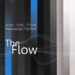 Mini Album: Into The Flow