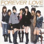 Single V[forever Love]