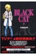 Blackcat 8