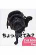 Pug THE@DOG@Photo@Book@Collection