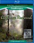 California Redwoods