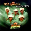 12 Pumazos Musicales