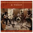 A Voice