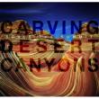 Desert Canyons