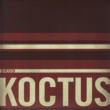 Koctus