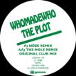 Plot (Noze & Mole Remixes)