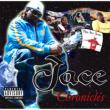 Jace Chronicles