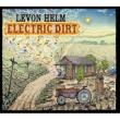 Electric Dirt