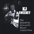 Essential Acoustic Blues Collection