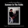 Summer In The Fields-cigar Box Guitar Instrumentals