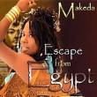 Escape From Egypt