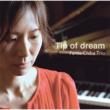 Tip of dream