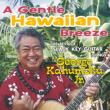 A Gentle Hawaiian Breeze The Best Of Slack Key Guitar Songs