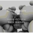This Is Audio Therapy: Vol.2