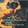 Live At Vision Festi.XII