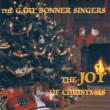 Joy Of Christmas