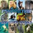 Psymmetrix & Other Animals