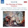 Tobiae Matrimonium : Hauk / Simon Mayr Ensemble & Chorus, Spiesser, Buchberger, etc (2CD)