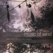 Music Of Wind`1000 Windbells Installation`
