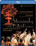 Le Sacre du Printemps, Firebird (Stravinsky): Iosifidi, Bazhenova, Kondaurova, Gergiev / Kirov Orchestra & Ballet (2008)