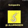 Scolopendra
