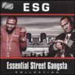 Essential Street Gangsta Collection