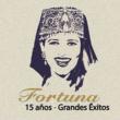 15 Anos: Grandes Exitos