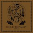 Luck In The Valley