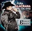 Pura Alacrana En Vivo