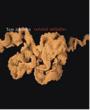 Rational Melodies: Aschour(G)Berson(Fl)Tarozzi(Vn)Villard(Cl)Etc