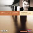 Piano Transcriptions, Paraphrases : Groschopp (4CD)