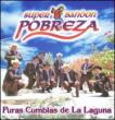 Puras Cumbias De La Laguna
