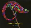 Costes Presents: Chamaeleonidae
