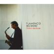 Flamenco Big Band