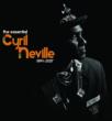Essential Cyril Neville 1994-2007
